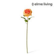 Ronis Rose Austin Stem (RT) Orange 22x14x66cm