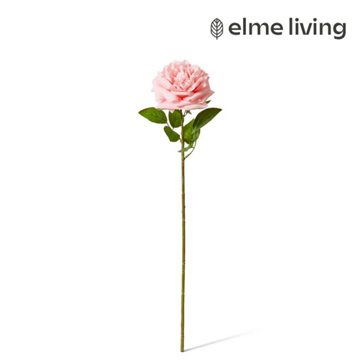 Ronis Rose Austin Stem (RT) Pink 22x14x66cm