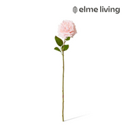 Ronis Rose Austin Stem (RT) Soft Pink 22x14x66cm