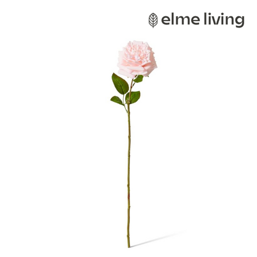 Ronis Rose Austin Stem (RT) Soft Pink 22x14x66cm