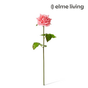 Ronis Rose Rambler Short Stem (RT) Dark Pink 14x12x45cm – thumbnail