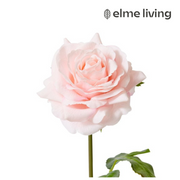 Ronis Rose Rambler Short Stem (RT) Soft Pink 14x12x45cm – thumbnail