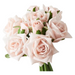 Rose Cici Bouquet Soft Pink 20cml