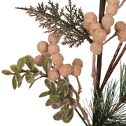 Ronis Rustic Stems 65cm