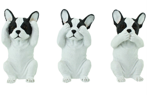 Gifts Ornamental And Figurines Boxed Hss Set Frenchie 16X11Cmwht
