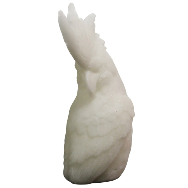 Crested Charmer 14x11x28cm