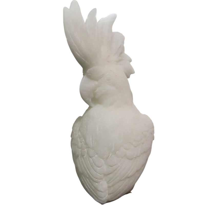 Feathered Finesse 13x9x20cm
