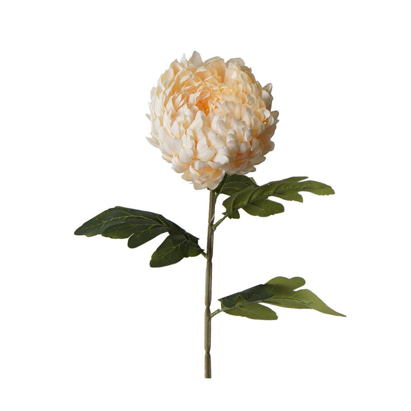 Single chrysanthemum bloom 77cm artificial flower stem
