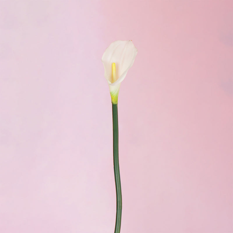 White calla lily flower stem 67cm artificial bloom