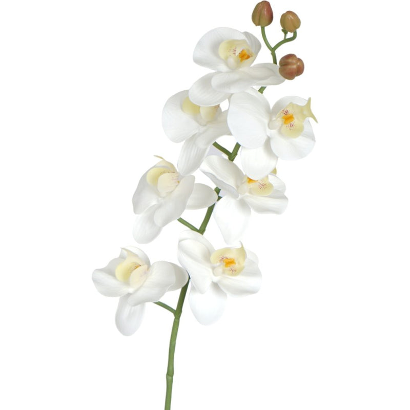 White Phalaenopsis orchid spray 76cm artificial flower stem