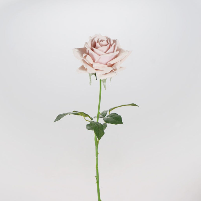 Sophia rose artificial flower stem 66cm decorative rose