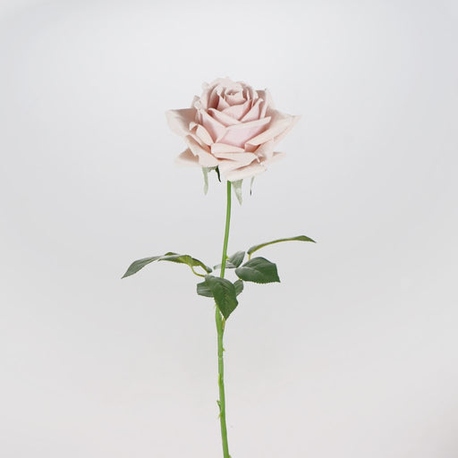 Sophia rose artificial flower stem 66cm decorative rose