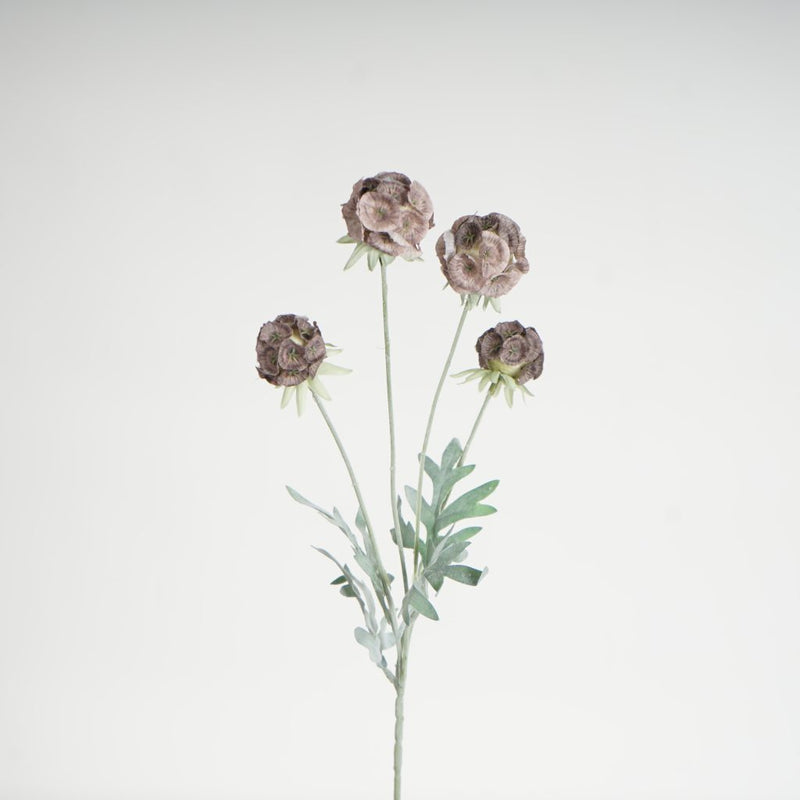 Scabiosa pod spray 60cm artificial botanical stem