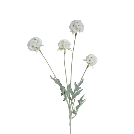 White scabiosa pod spray 60cm artificial botanical stem