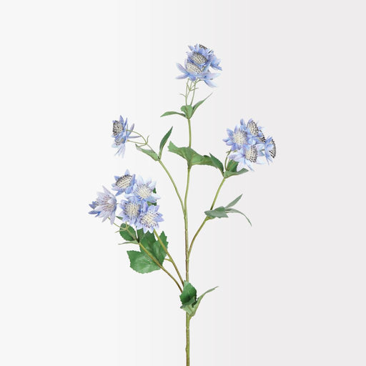 Black astrantia spray 75cm artificial decorative flower stem