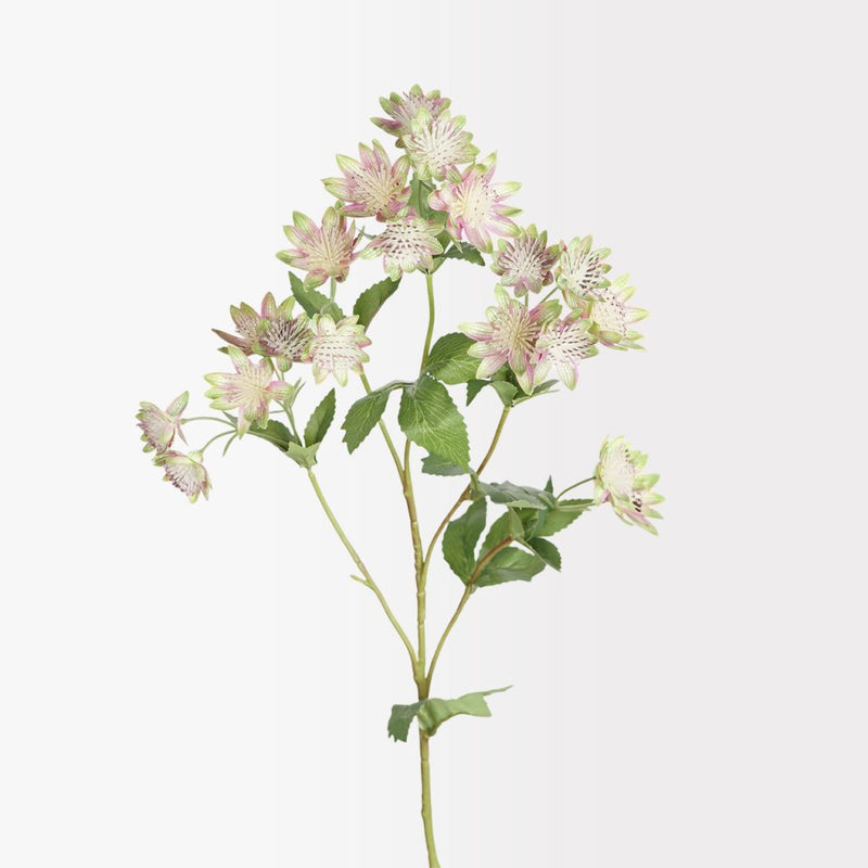 Green astrantia spray 75cm artificial botanical flower stem