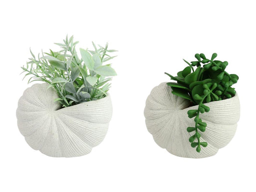 Artificial succulent in shell shaped pot