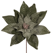 Sage green large poinsettia with 23 petals and a 50cm stem, ideal for Christmas floral displays and seasonal decorating.