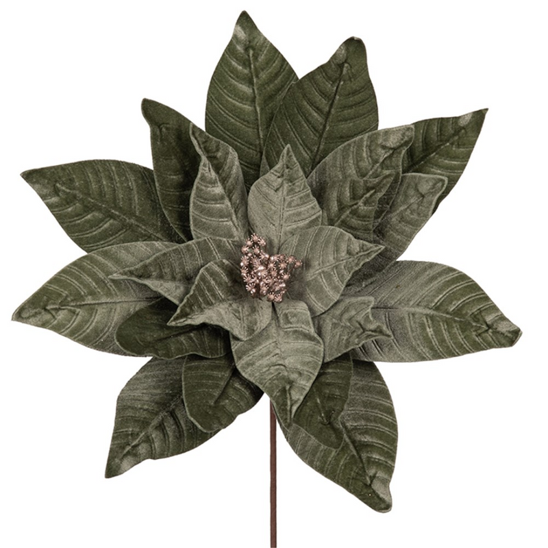 Sage green large poinsettia with 23 petals and a 50cm stem, ideal for Christmas floral displays and seasonal decorating.