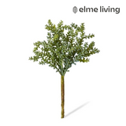 Ronis Senecio Stem Green 12x12x19cm