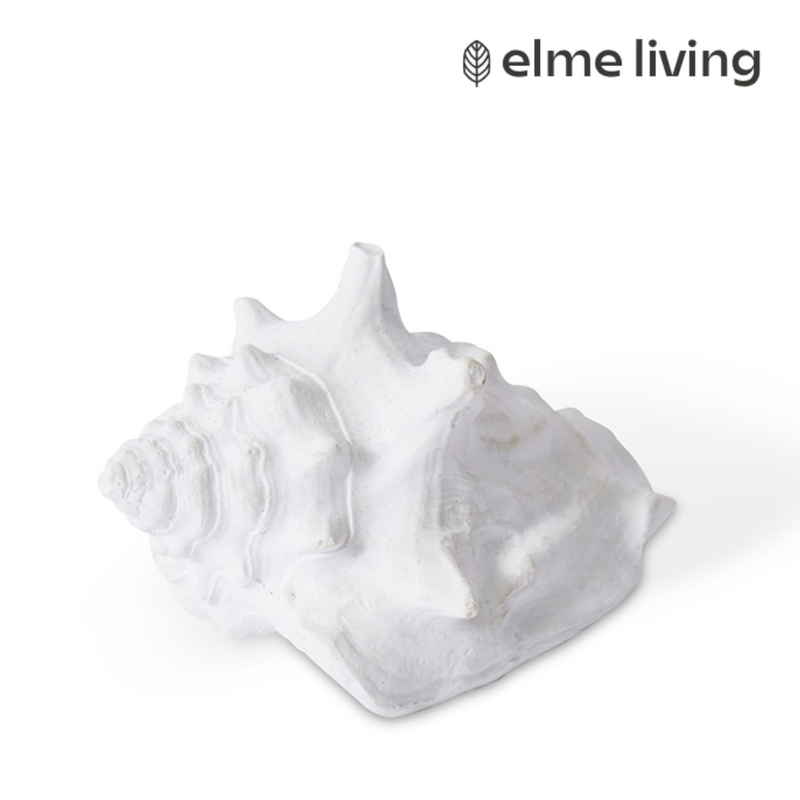 Ronis Shell Fighting Conch White 8x6x4cm
