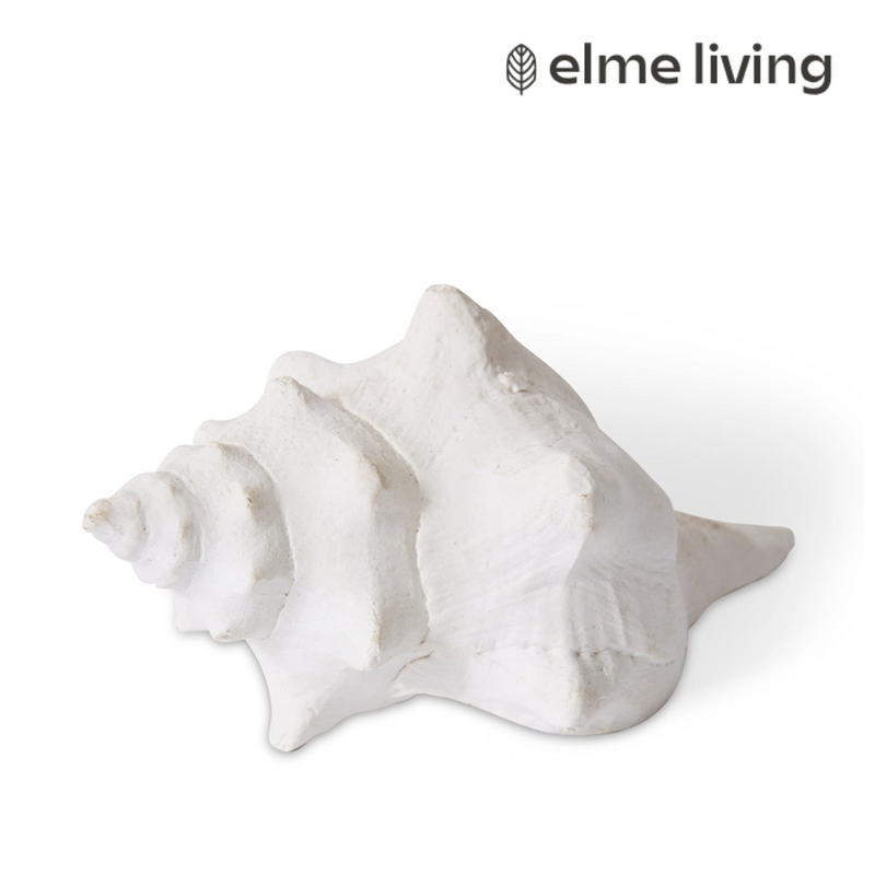 Ronis Shell Horse Conch White 14x9x7cm