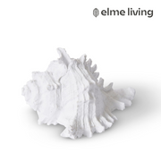 Ronis Shell Murex White 14x11x8cm
