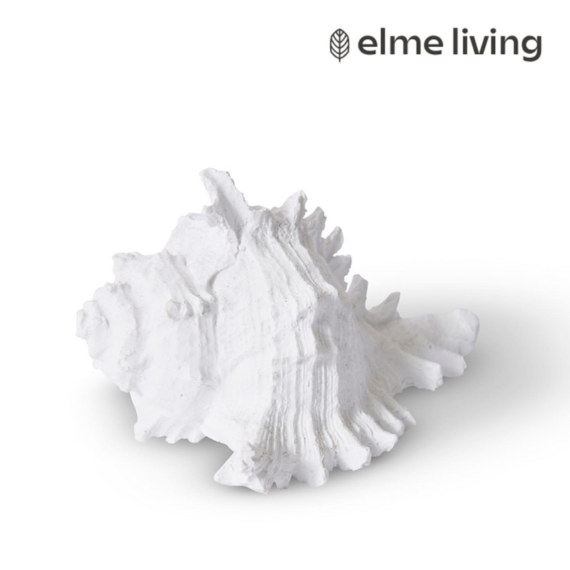 Ronis Shell Murex White 14x11x8cm