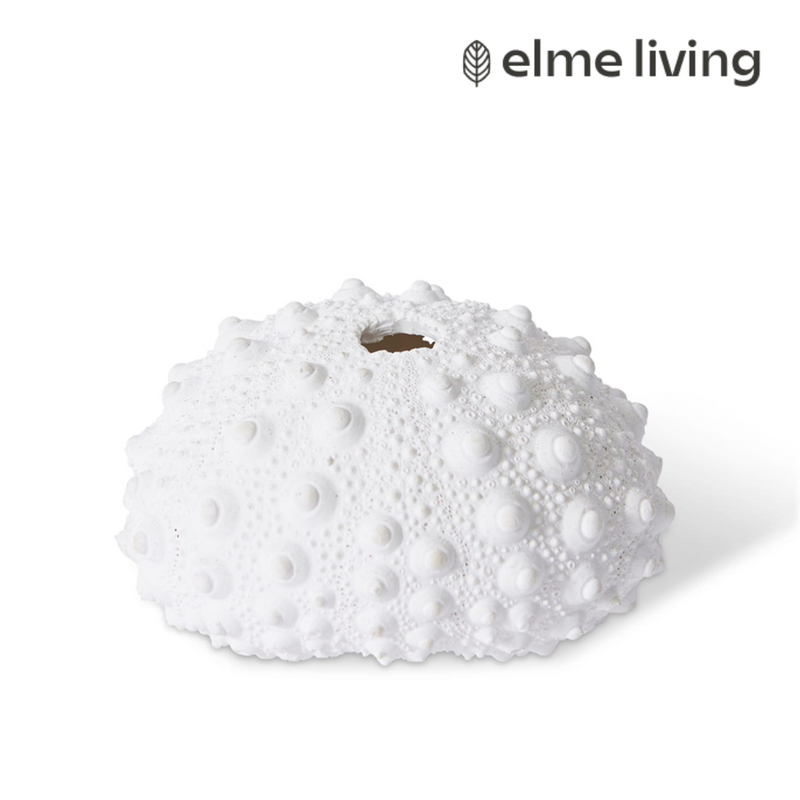 Ronis Shell Sea Urchin White 9x8x5cm