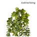 Ronis Silver Leaf Hanging Plant Grey Green 15x10x77cm