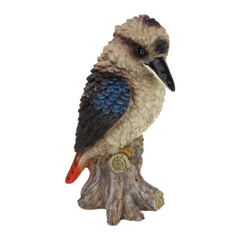 Ronis Sitting Kookaburra on Branch 35cm