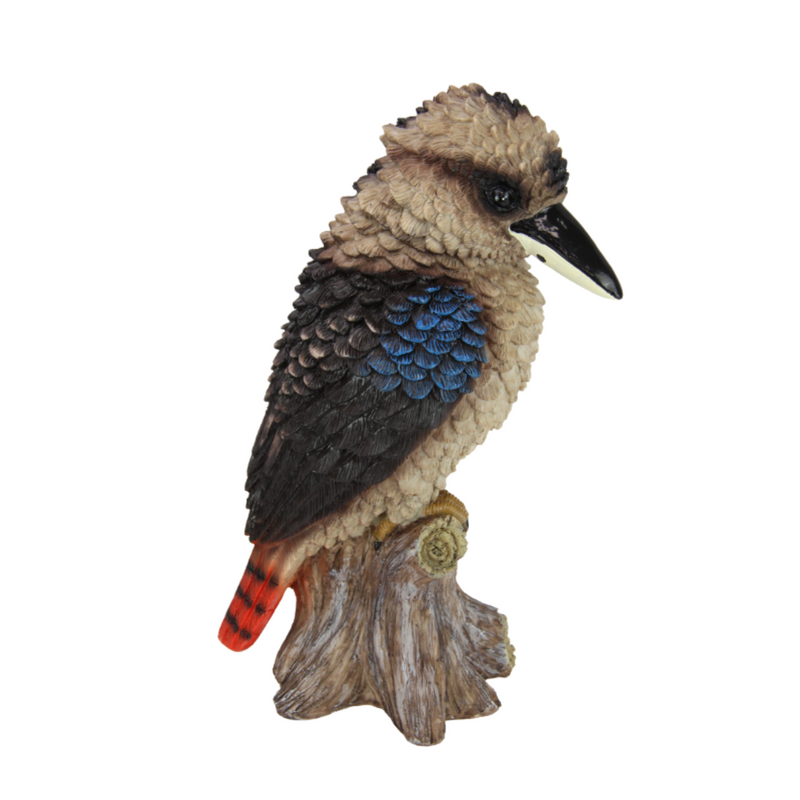 Ronis Sitting Kookaburra on Branch 35cm