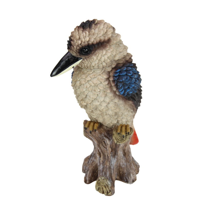 Ronis Sitting Kookaburra on Branch 35cm