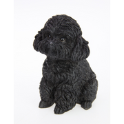Ronis Sitting Cavoodle Dog 16cm Assorted – thumbnail