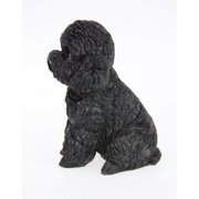 Ronis Sitting Cavoodle Dog 16cm Assorted – thumbnail