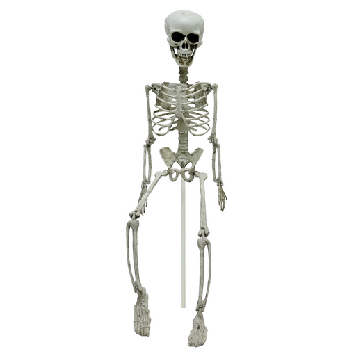 Ronis Skeleton Lawn Stake 74Cm