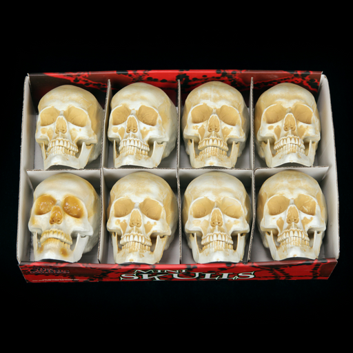 Ronis Skull Decoration 10Cm