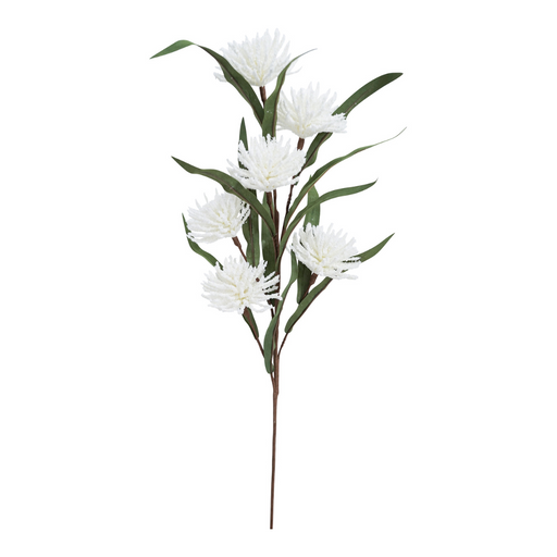 Ronis Spike-A-Daisy 75cm White