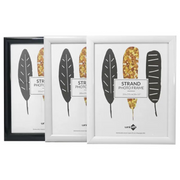 Ronis Strand Frame 20x25cm Assorted