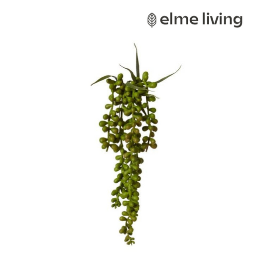 Ronis String of Pearls Hanging Plant Green 8x8x34cm