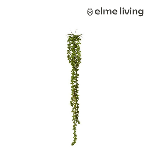 Ronis String of Pearls Hanging Plant Green 8x8x71cm