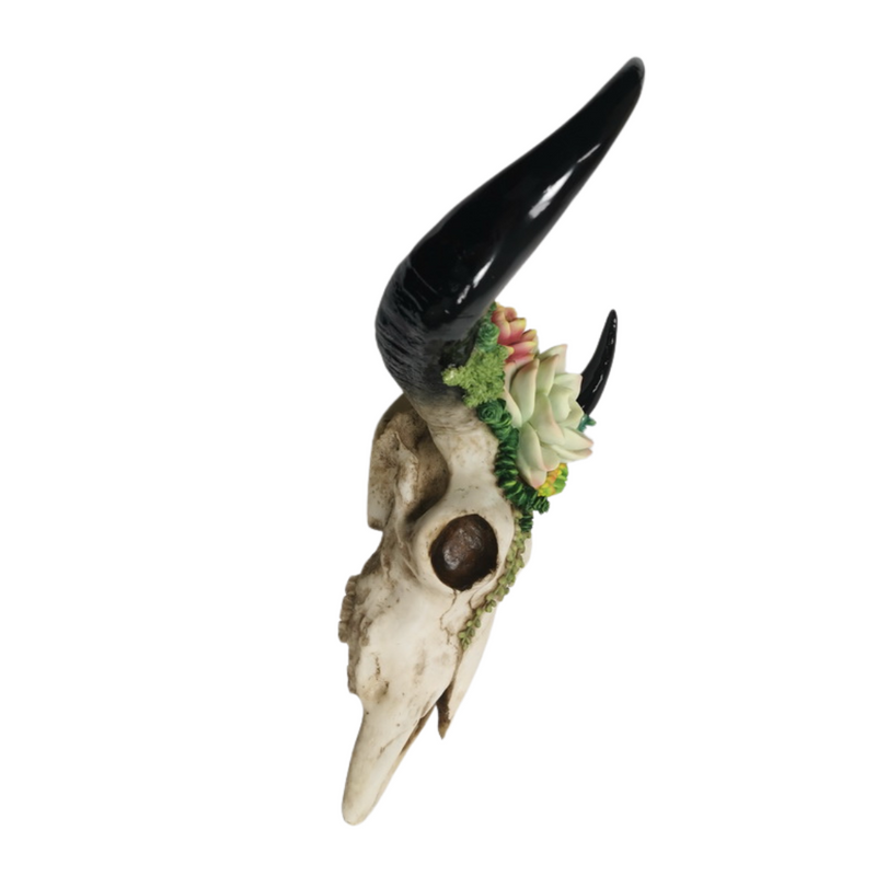 Ronis Succulent Design Cow Skull Wall Hanger 44cm