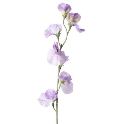 Sweetpea Spray Lavender 64cml