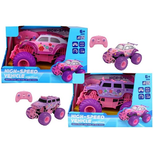 2 piece RC pink monster and beetle car set