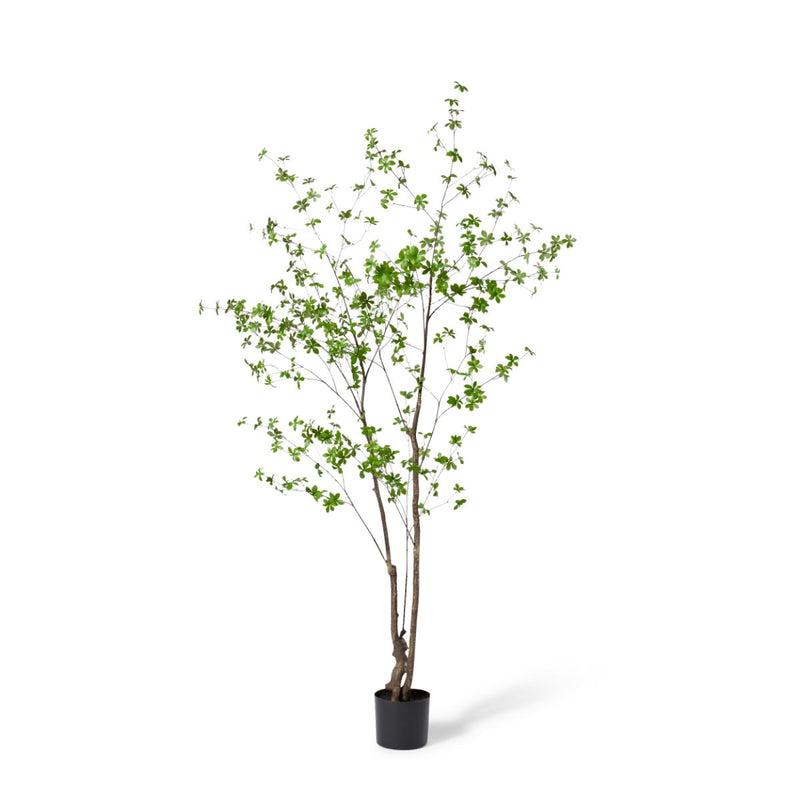 Tall dark green artificial pieris tree