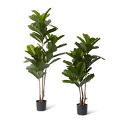 Fiddle Tree (Outdoor) Green 65x65x122cm – thumbnail