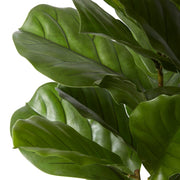 Fiddle Tree (Outdoor) Green 65x65x122cm – thumbnail