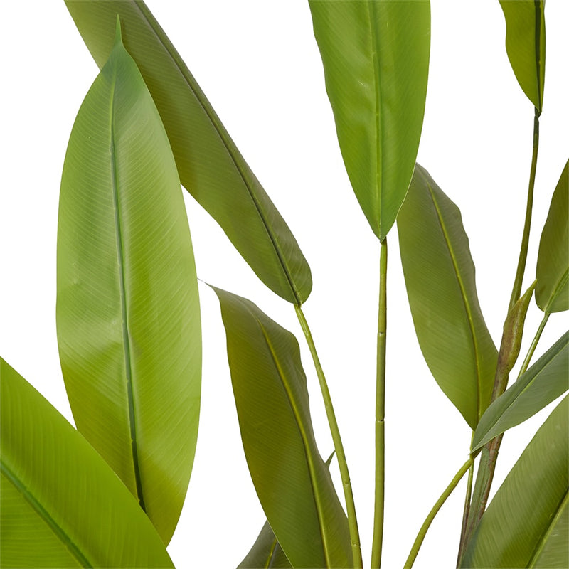 Heliconia Plant Green 70x70x160cm
