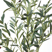 Olive Tree Grey Green 50x40x120cm – thumbnail