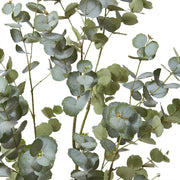 Eucalyptus Tree Grey Green 60x50x150cm – thumbnail